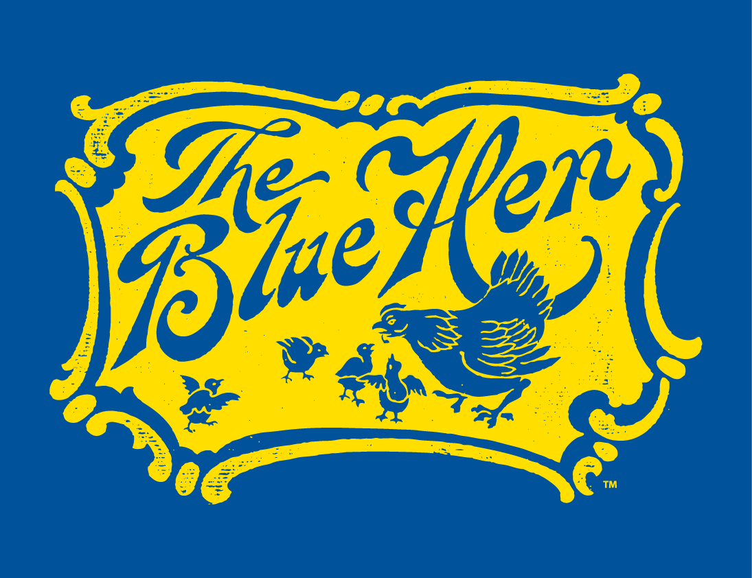 Delaware Blue Hens 1939-1954 Secondary Logo iron on paper